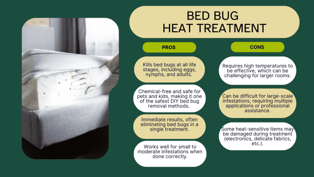 Infographic on bed bug heat treatment, showing pros such as effectiveness on all life stages and being chemical-free, and cons including high temperature requirements and damage to heat-sensitive items.DIY Bed Bug Treatments