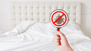 Clean white bed with a hand holding a magnifying glass featuring a crossed-out bed bug icon, symbolizing a pest-free and well-maintained sleeping environment.