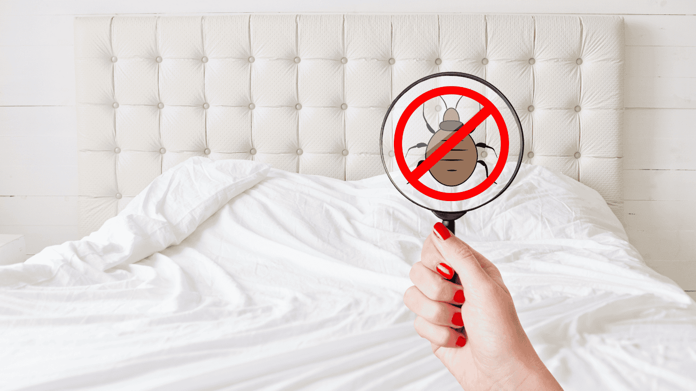 Clean white bed with a hand holding a magnifying glass featuring a crossed-out bed bug icon, symbolizing a pest-free and well-maintained sleeping environment.