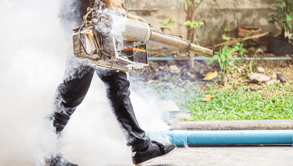 A person in black pants and shoes using a thermal fogging machine to spray insecticide outdoors, with thick white smoke dispersing around them. A garden with green plants and a blue water pipe is visible in the background.